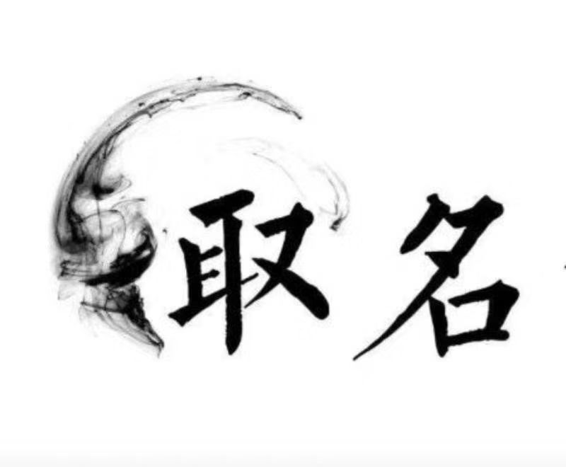  带岭宝宝取名 大师一对一人工起名